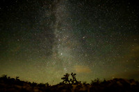 Joshua Tree and the Milky Way