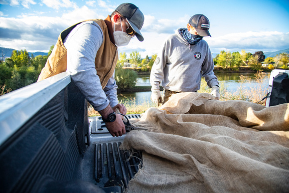 Revegetate the Levee