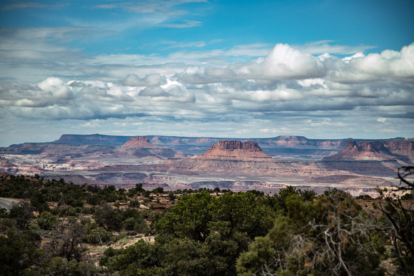 Off Trail, Canyonlands National Park